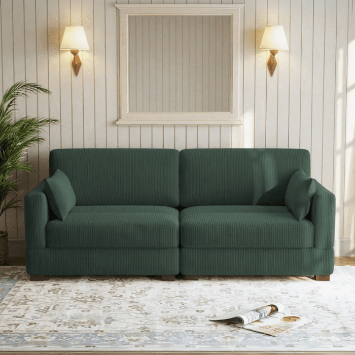 Corduroy Hunter Sofa green with BG (1) Luxurious Corduroy Hunter Sofa featuring soft corduroy upholstery, sleek modern design, and durable craftsmanship, ideal for premium living rooms in Pakistan and UAE.